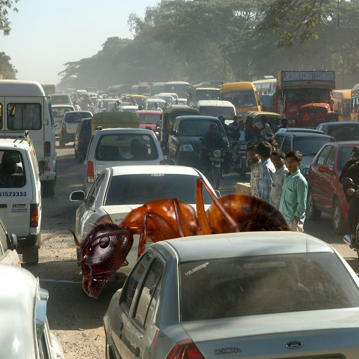 Digital Artists Photoshopped Oversized Animals And The Result Might Give You Nightmares (110 Pics)