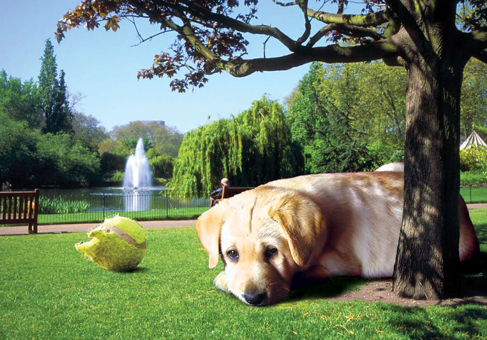 Digital Artists Photoshopped Oversized Animals And The Result Might Give You Nightmares (110 Pics)