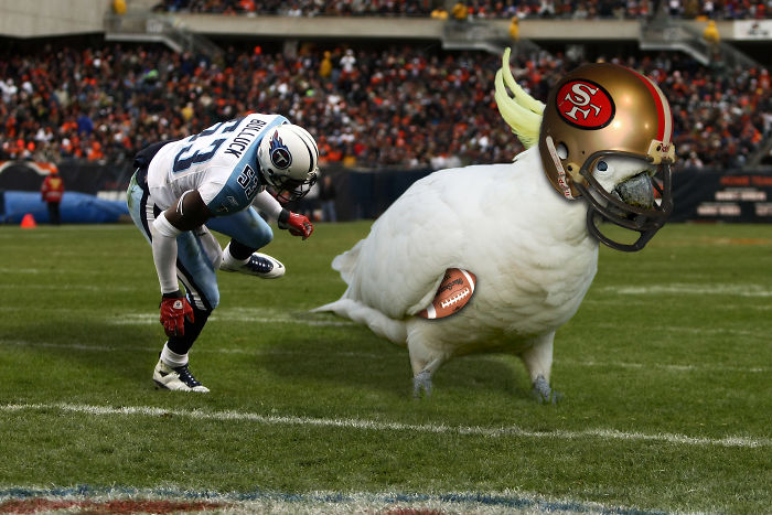 Digital Artists Photoshopped Oversized Animals And The Result Might Give You Nightmares (110 Pics)