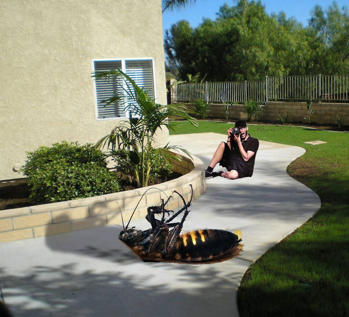 Digital Artists Photoshopped Oversized Animals And The Result Might Give You Nightmares (110 Pics)