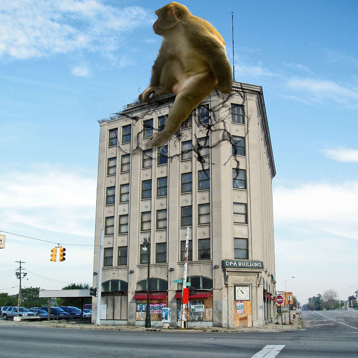 Digital Artists Photoshopped Oversized Animals And The Result Might Give You Nightmares (110 Pics)