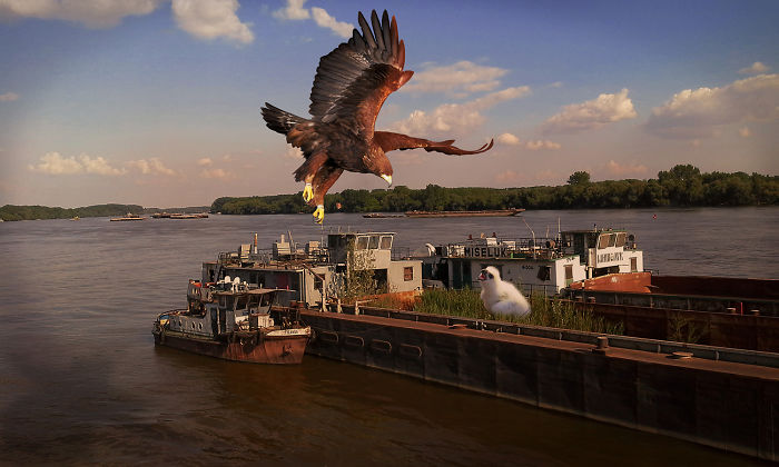 Digital Artists Photoshopped Oversized Animals And The Result Might Give You Nightmares (110 Pics)