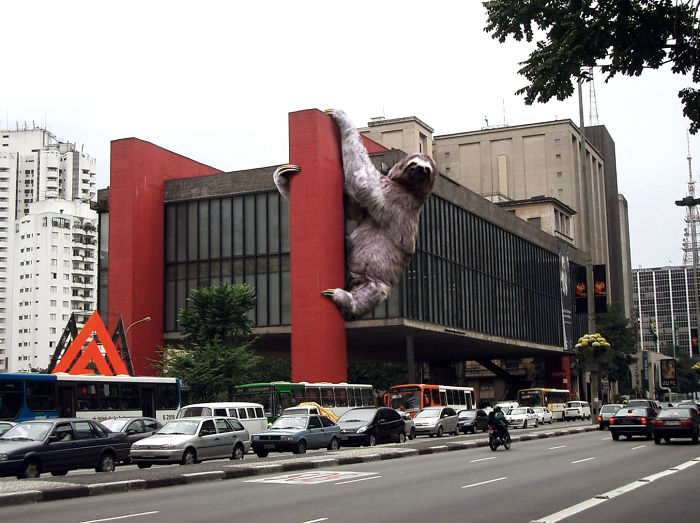 Digital Artists Photoshopped Oversized Animals And The Result Might Give You Nightmares (110 Pics)