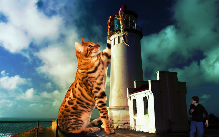 Digital Artists Photoshopped Oversized Animals And The Result Might Give You Nightmares (110 Pics)