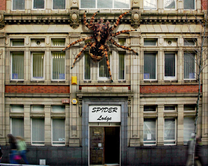 Digital Artists Photoshopped Oversized Animals And The Result Might Give You Nightmares (110 Pics)