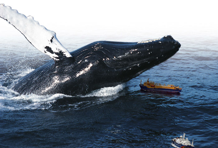 Digital Artists Photoshopped Oversized Animals And The Result Might Give You Nightmares (110 Pics)