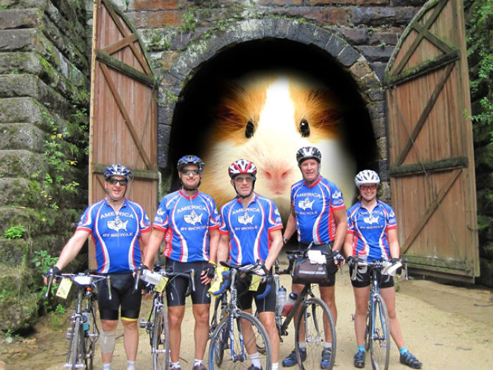 Digital Artists Photoshopped Oversized Animals And The Result Might Give You Nightmares (110 Pics)