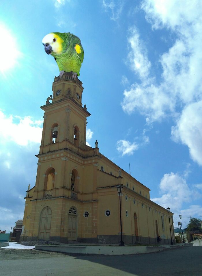 Digital Artists Photoshopped Oversized Animals And The Result Might Give You Nightmares (110 Pics)