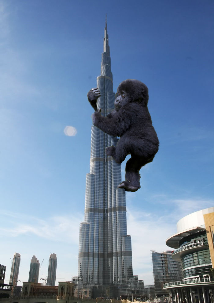 Digital Artists Photoshopped Oversized Animals And The Result Might Give You Nightmares (110 Pics)