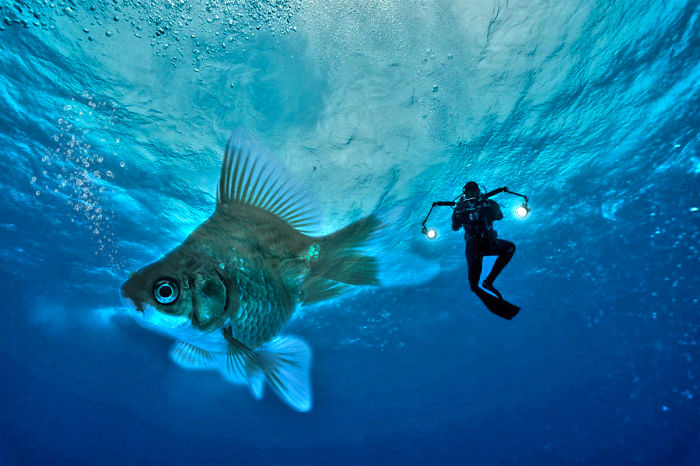 Digital Artists Photoshopped Oversized Animals And The Result Might Give You Nightmares (110 Pics)