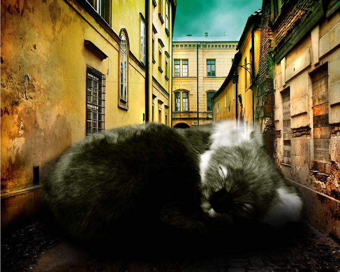 Digital Artists Photoshopped Oversized Animals And The Result Might Give You Nightmares (110 Pics)