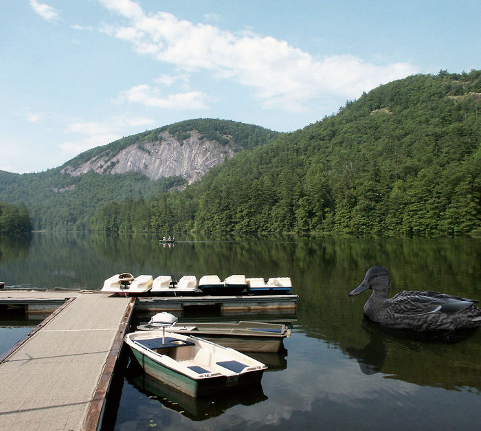 Digital Artists Photoshopped Oversized Animals And The Result Might Give You Nightmares (110 Pics)