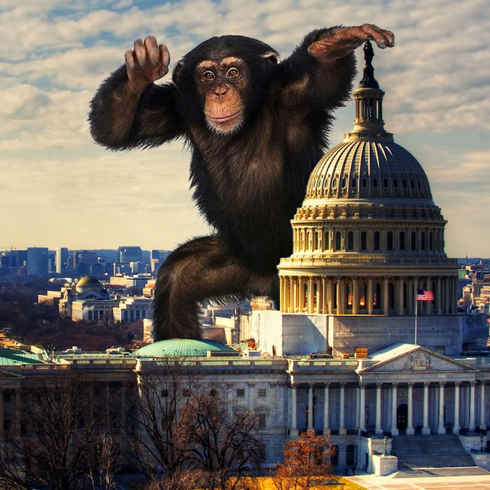 Digital Artists Photoshopped Oversized Animals And The Result Might Give You Nightmares (110 Pics)