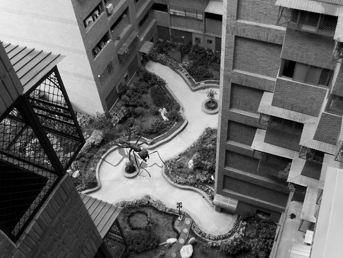 Digital Artists Photoshopped Oversized Animals And The Result Might Give You Nightmares (110 Pics)