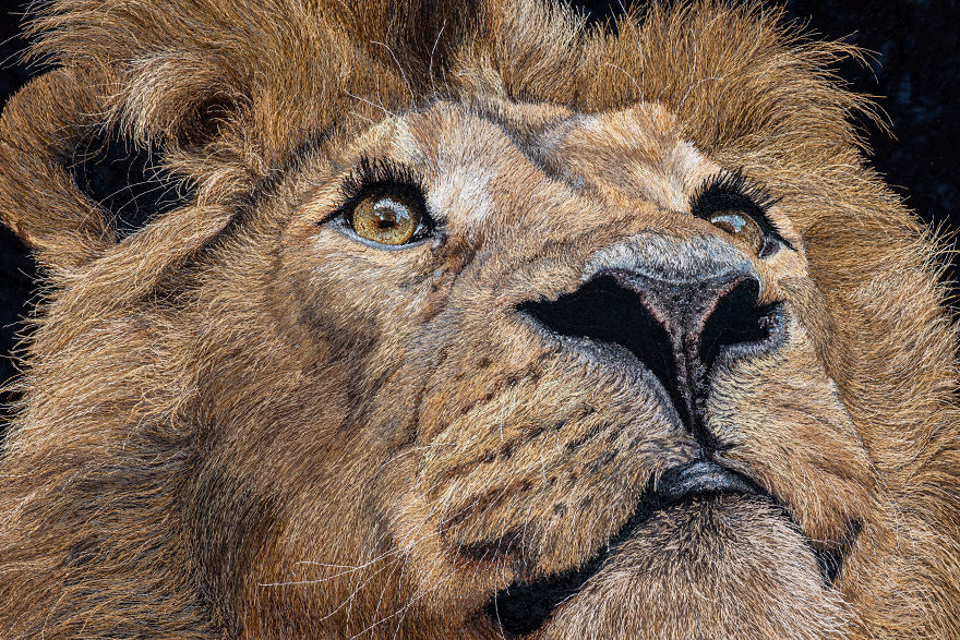 I ‘Paint’ Photorealistic Portraits With My Sewing Machine I ‘Paint’ Photorealistic Portraits With My Sewing Machine