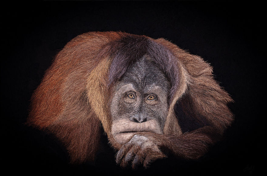 I ‘Paint’ Photorealistic Portraits With My Sewing Machine I ‘Paint’ Photorealistic Portraits With My Sewing Machine