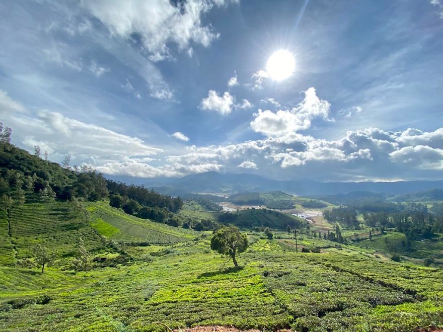 Amazing Pictures That My Boyfriend Took In His Home Town Ooty, India