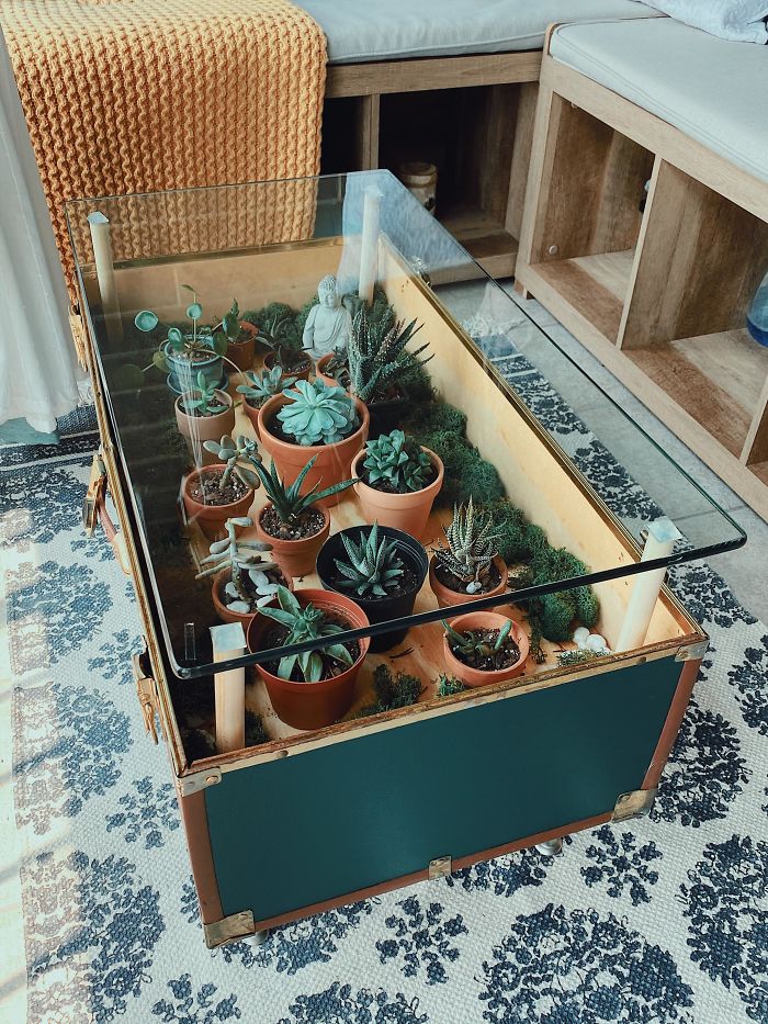 31 Times People Made Their Home Greener By Turning Tables Into Succulent Gardens 31 Times People Made Their Home Greener By Turning Tables Into Succulent Gardens