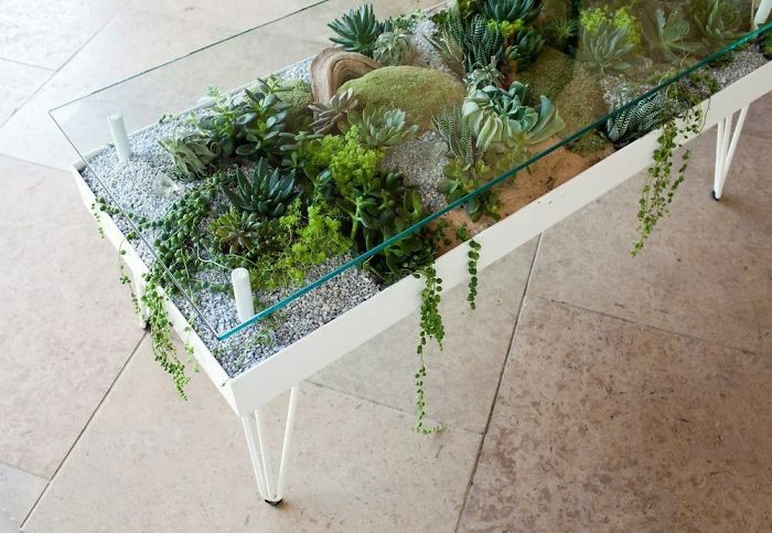 31 Times People Made Their Home Greener By Turning Tables Into Succulent Gardens 31 Times People Made Their Home Greener By Turning Tables Into Succulent Gardens