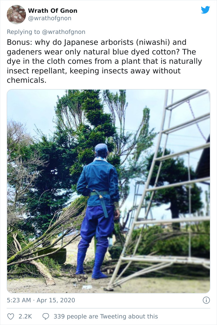 Apparently, This Ancient Japanese Technique From The 14th Century Allows People To Produce Lumber Without Having To Cut Down Trees Apparently, This Ancient Japanese Technique From The 14th Century Allows People To Produce Lumber Without Having To Cut Down Trees