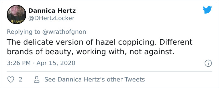 Apparently, This Ancient Japanese Technique From The 14th Century Allows People To Produce Lumber Without Having To Cut Down Trees Apparently, This Ancient Japanese Technique From The 14th Century Allows People To Produce Lumber Without Having To Cut Down Trees