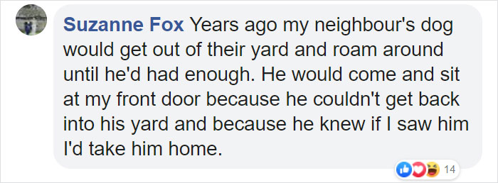 Lost Dog Goes To His Vet To Ask For Help Getting Back Home Lost Dog Goes To His Vet To Ask For Help Getting Back Home