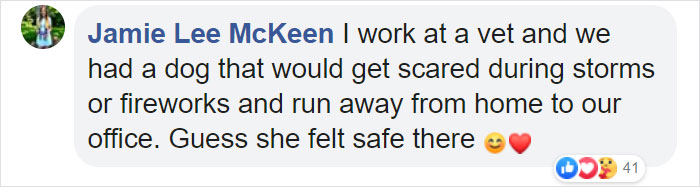 Lost Dog Goes To His Vet To Ask For Help Getting Back Home Lost Dog Goes To His Vet To Ask For Help Getting Back Home