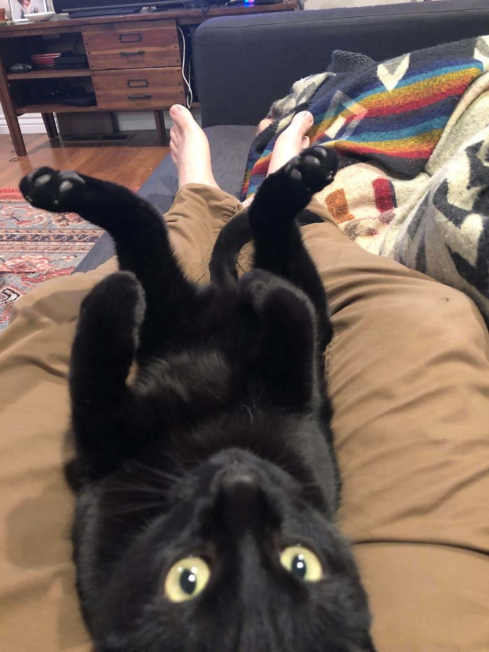 50 Most Wholesome Rescue Pet Photos Of The Month (July Edition) 50 Most Wholesome Rescue Pet Photos Of The Month (July Edition)