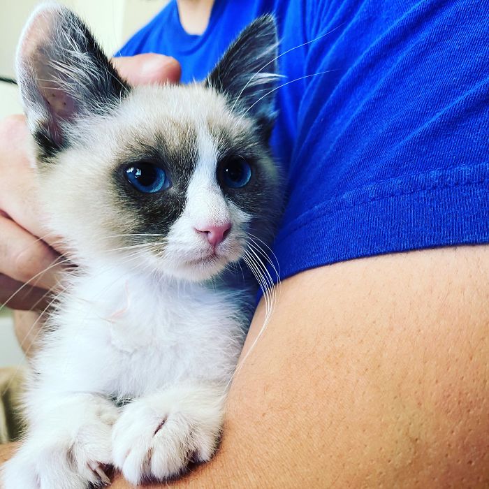 50 Most Wholesome Rescue Pet Photos Of The Month (July Edition) 50 Most Wholesome Rescue Pet Photos Of The Month (July Edition)