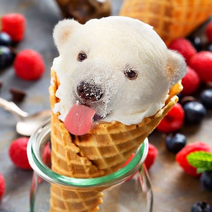 This Guy Photoshops Animals Into The Most Random Things, And The Result Is A Total Treat (86 New Pics) This Guy Photoshops Animals Into The Most Random Things, And The Result Is A Total Treat (86 New Pics)