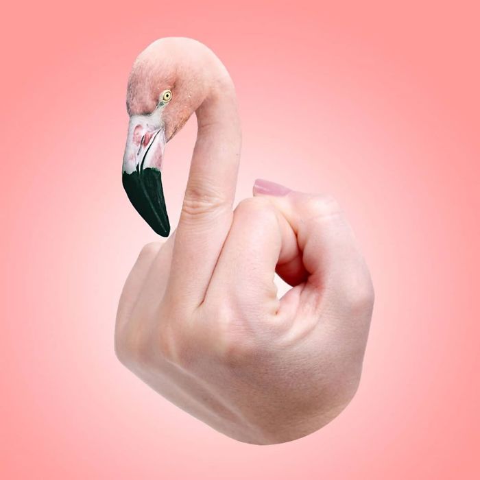 This Guy Photoshops Animals Into The Most Random Things, And The Result Is A Total Treat (86 New Pics) This Guy Photoshops Animals Into The Most Random Things, And The Result Is A Total Treat (86 New Pics)