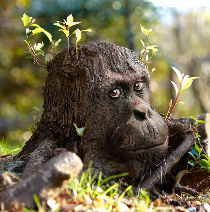 This Guy Photoshops Animals Into The Most Random Things, And The Result Is A Total Treat (86 New Pics) This Guy Photoshops Animals Into The Most Random Things, And The Result Is A Total Treat (86 New Pics)