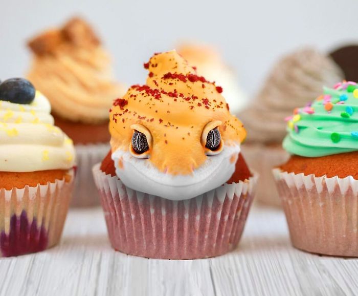 This Guy Photoshops Animals Into The Most Random Things, And The Result Is A Total Treat (86 New Pics) This Guy Photoshops Animals Into The Most Random Things, And The Result Is A Total Treat (86 New Pics)