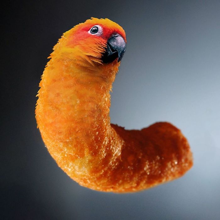 This Guy Photoshops Animals Into The Most Random Things, And The Result Is A Total Treat (86 New Pics) This Guy Photoshops Animals Into The Most Random Things, And The Result Is A Total Treat (86 New Pics)