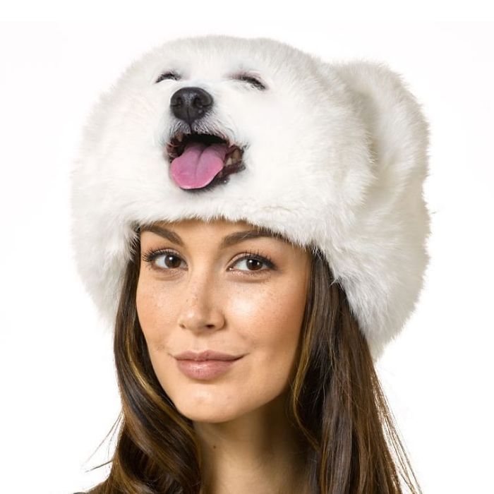 This Guy Photoshops Animals Into The Most Random Things, And The Result Is A Total Treat (86 New Pics) This Guy Photoshops Animals Into The Most Random Things, And The Result Is A Total Treat (86 New Pics)