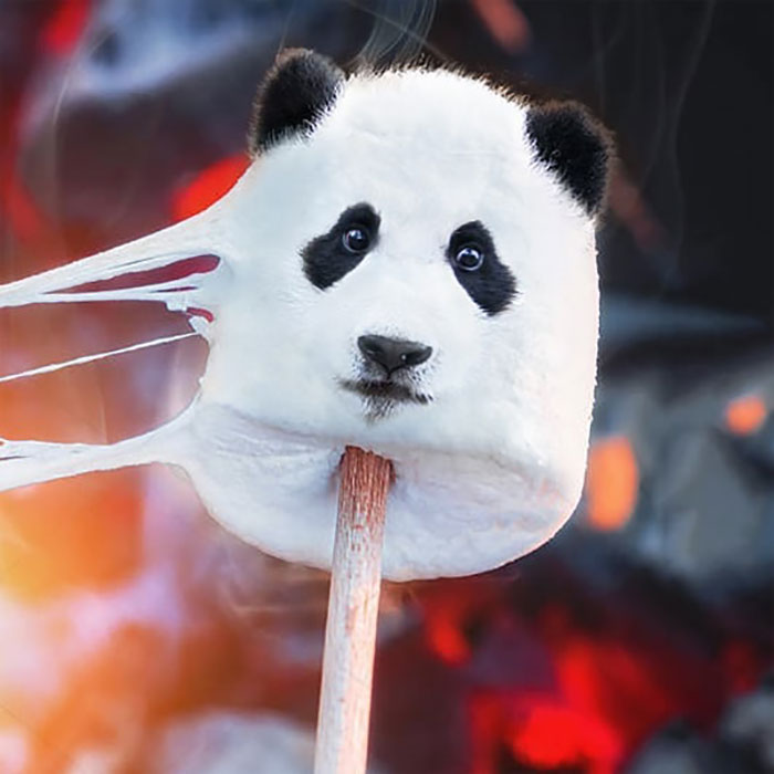 This Guy Photoshops Animals Into The Most Random Things, And The Result Is A Total Treat (86 New Pics) This Guy Photoshops Animals Into The Most Random Things, And The Result Is A Total Treat (86 New Pics)