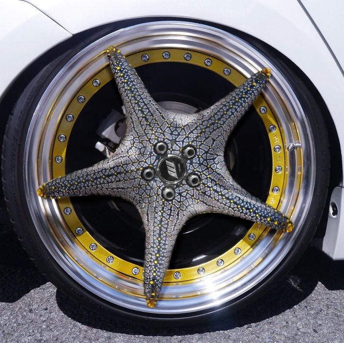 This Guy Photoshops Animals Into The Most Random Things, And The Result Is A Total Treat (86 New Pics) This Guy Photoshops Animals Into The Most Random Things, And The Result Is A Total Treat (86 New Pics)