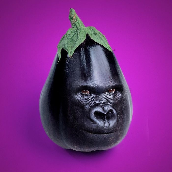 This Guy Photoshops Animals Into The Most Random Things, And The Result Is A Total Treat (86 New Pics) This Guy Photoshops Animals Into The Most Random Things, And The Result Is A Total Treat (86 New Pics)