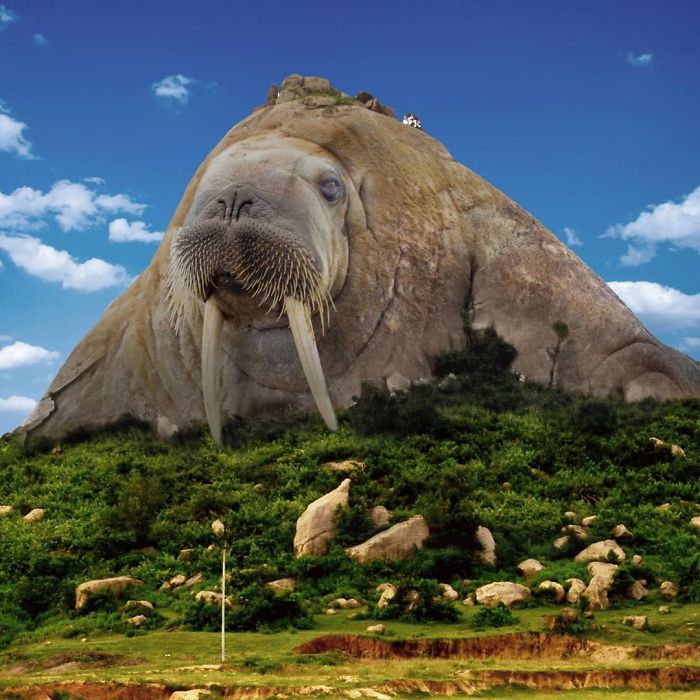 This Guy Photoshops Animals Into The Most Random Things, And The Result Is A Total Treat (86 New Pics) This Guy Photoshops Animals Into The Most Random Things, And The Result Is A Total Treat (86 New Pics)