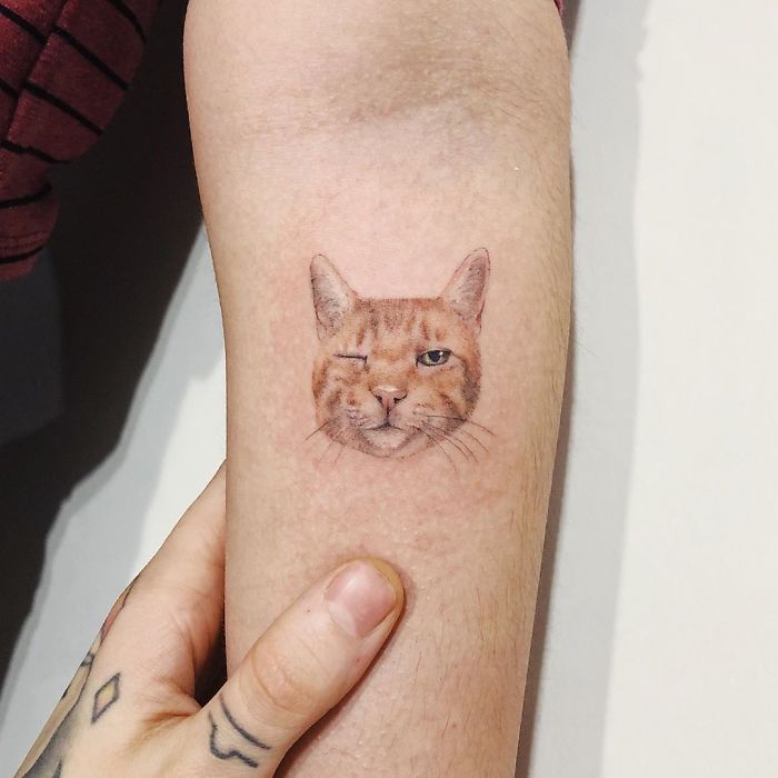 40 People Who Got Absolutely Awesome Cat Tattoos 40 People Who Got Absolutely Awesome Cat Tattoos