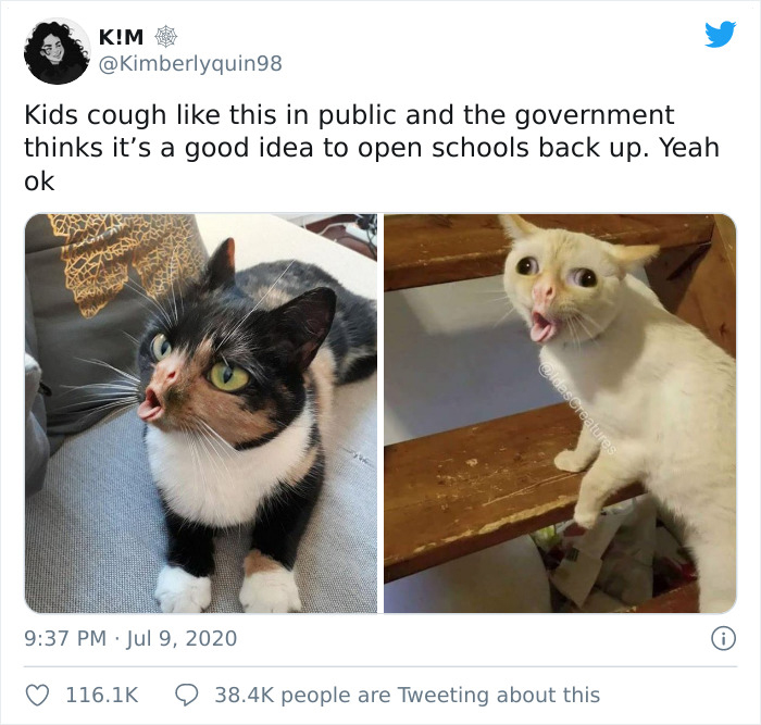 29 Tweets That Show Why Bringing Kids Back To School During The Pandemic Is Not That Good Of An Idea 29 Tweets That Show Why Bringing Kids Back To School During The Pandemic Is Not That Good Of An Idea