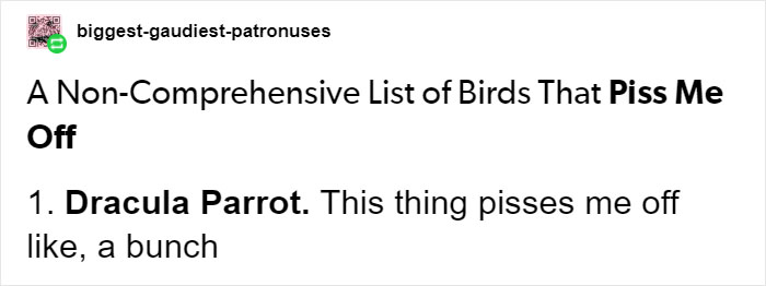 Person Compiles “A Non-Comprehensive List Of Birds That Piss Me Off”, And It’s A Hilariously Nonsensical Read Person Compiles “A Non-Comprehensive List Of Birds That Piss Me Off”, And It’s A Hilariously Nonsensical Read