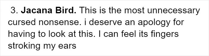 Person Compiles “A Non-Comprehensive List Of Birds That Piss Me Off”, And It’s A Hilariously Nonsensical Read Person Compiles “A Non-Comprehensive List Of Birds That Piss Me Off”, And It’s A Hilariously Nonsensical Read