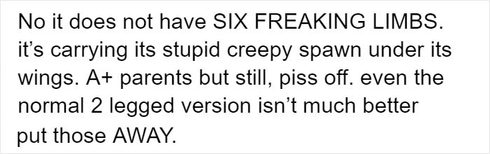 Person Compiles “A Non-Comprehensive List Of Birds That Piss Me Off”, And It’s A Hilariously Nonsensical Read Person Compiles “A Non-Comprehensive List Of Birds That Piss Me Off”, And It’s A Hilariously Nonsensical Read