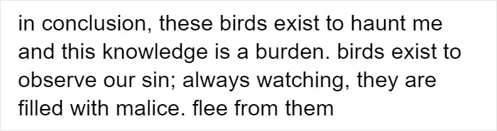 Person Compiles “A Non-Comprehensive List Of Birds That Piss Me Off”, And It’s A Hilariously Nonsensical Read Person Compiles “A Non-Comprehensive List Of Birds That Piss Me Off”, And It’s A Hilariously Nonsensical Read