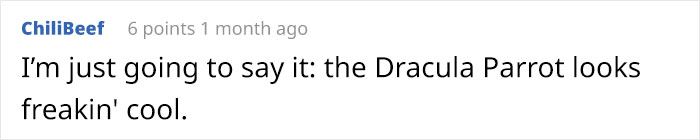 Person Compiles “A Non-Comprehensive List Of Birds That Piss Me Off”, And It’s A Hilariously Nonsensical Read Person Compiles “A Non-Comprehensive List Of Birds That Piss Me Off”, And It’s A Hilariously Nonsensical Read