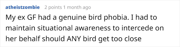 Person Compiles “A Non-Comprehensive List Of Birds That Piss Me Off”, And It’s A Hilariously Nonsensical Read Person Compiles “A Non-Comprehensive List Of Birds That Piss Me Off”, And It’s A Hilariously Nonsensical Read