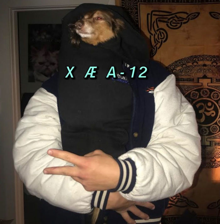 You Can Now Find Out What Dog You Are Based On Your Name (40 Pics) You Can Now Find Out What Dog You Are Based On Your Name (40 Pics)