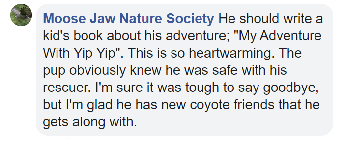 Canadian Saves Coyote Pup From Drowning And Lets Him Tag Along For A 10-Day Raft Ride Canadian Saves Coyote Pup From Drowning And Lets Him Tag Along For A 10-Day Raft Ride