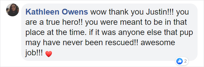 Canadian Saves Coyote Pup From Drowning And Lets Him Tag Along For A 10-Day Raft Ride Canadian Saves Coyote Pup From Drowning And Lets Him Tag Along For A 10-Day Raft Ride
